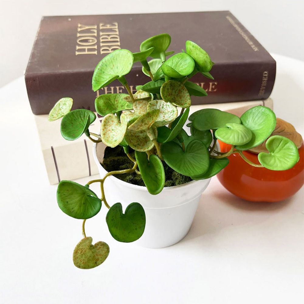 Pegamento suave, planta Artifi - Home Office Layout reseña y precio