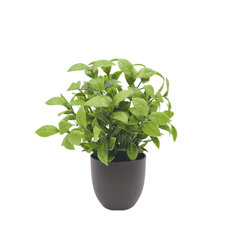 Bonsái de Planta Verde Simulad - Home Office Layout reseña y precio