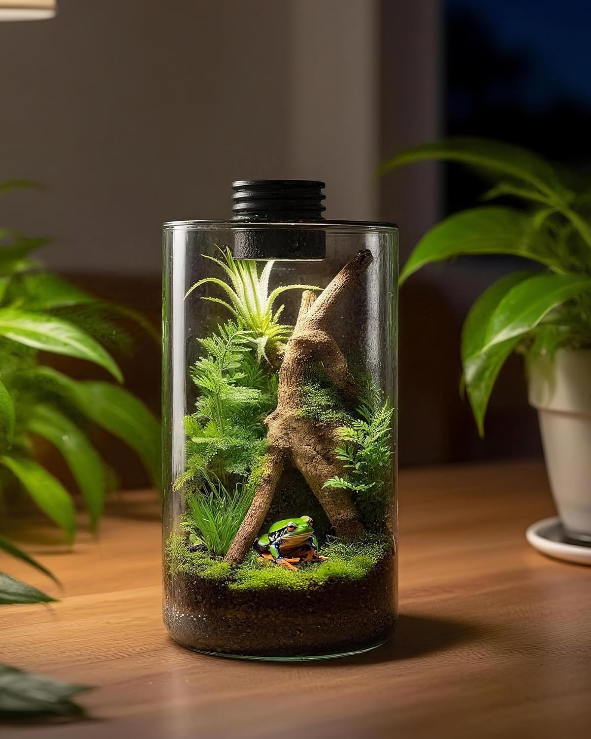 Terrario de Vidrio para Interi - Home Office Lamp reseña y precio